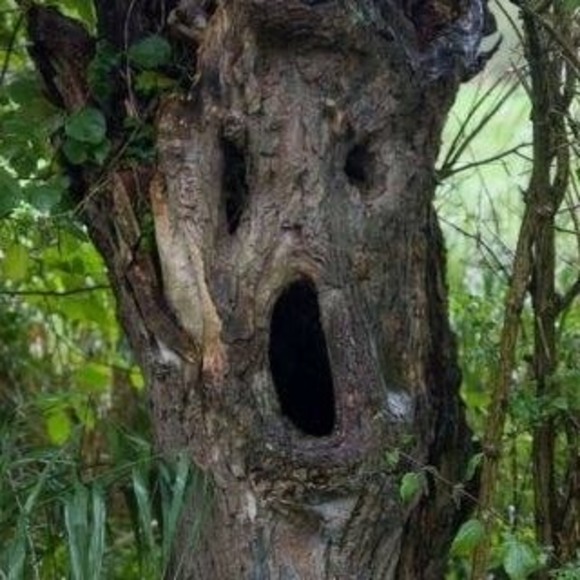 Meet your Posher, Nancy - Picture 1 of 1